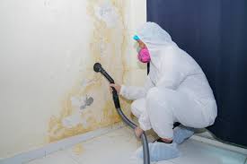 Why You Should Choose Our Mold Remediation Services in Waverly, IA